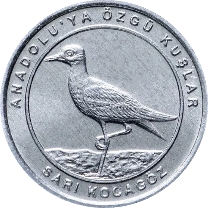 Sarı Kocagöz